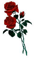 A Rose For A Rose